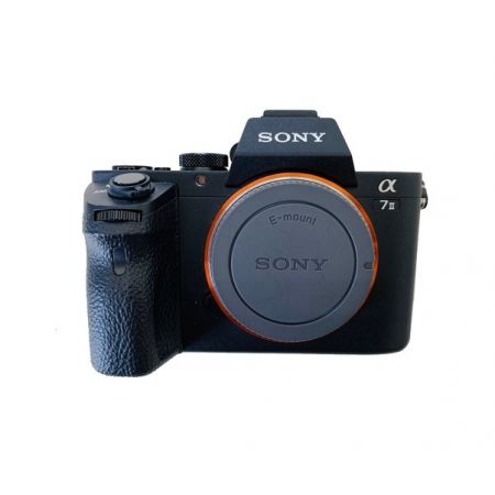 SONY (ソニー) ミラーレス一眼カメラ ILCE-7M2 2430万画素 専用電池 SDカード対応 3044978 α7 ?