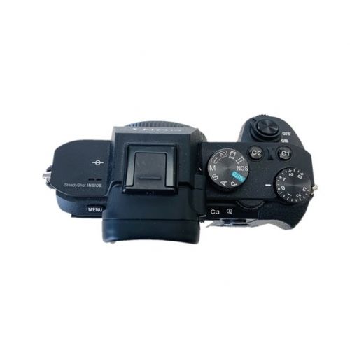 SONY (ソニー) ミラーレス一眼カメラ ILCE-7M2 2430万画素 専用電池 SDカード対応 3044978 α7 ?