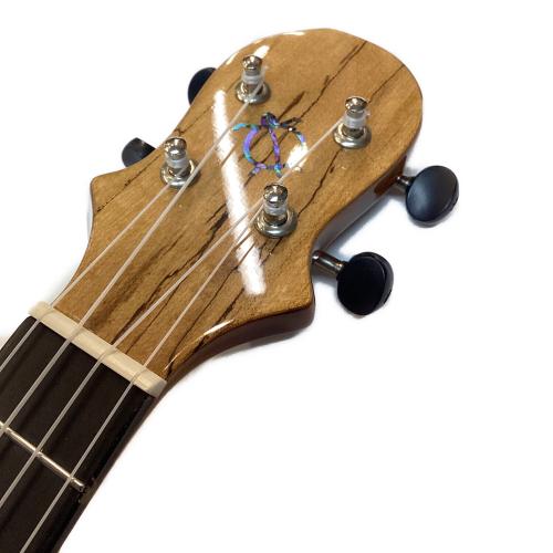 BIG ISLAND (ビッグアイランド) エレキウクレレ