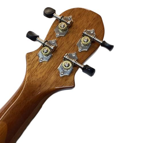 BIG ISLAND (ビッグアイランド) エレキウクレレ