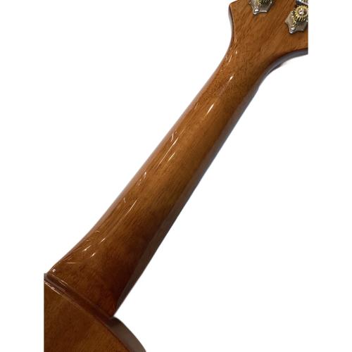 BIG ISLAND (ビッグアイランド) エレキウクレレ