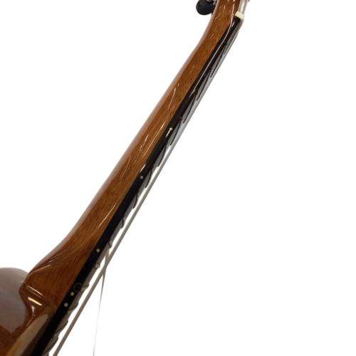 BIG ISLAND (ビッグアイランド) エレキウクレレ