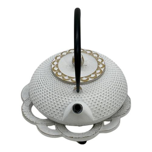 南部鉄器 (ナンブテッキ) 令和あられ急須 南部宝生堂 及富作