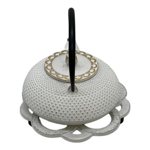 南部鉄器 (ナンブテッキ) 令和あられ急須 南部宝生堂 及富作