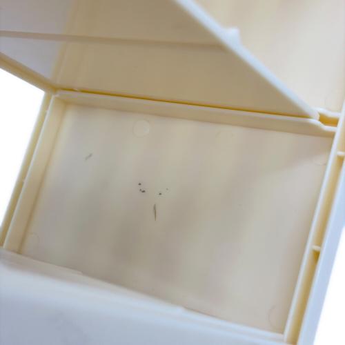 TOMY (トミー) ディズニーリゾート系トミカ トミカ ディズニーモータース グランドドリームキャリー