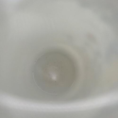 柿右衛門 (カキエモン) 一輪挿し