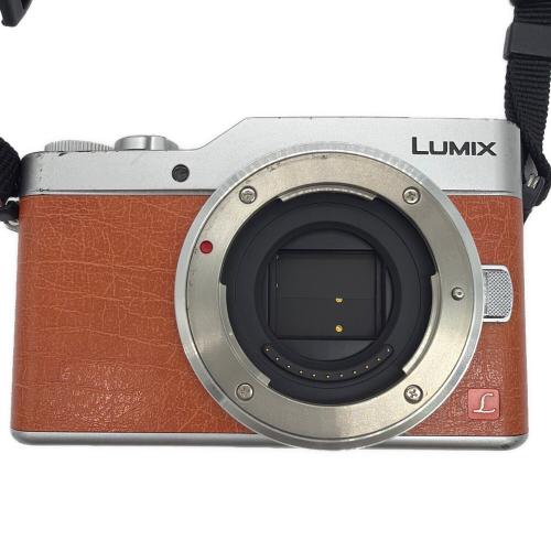 Panasonic (パナソニック) ミラーレス一眼カメラ DC-GF9 LUMIX 動作