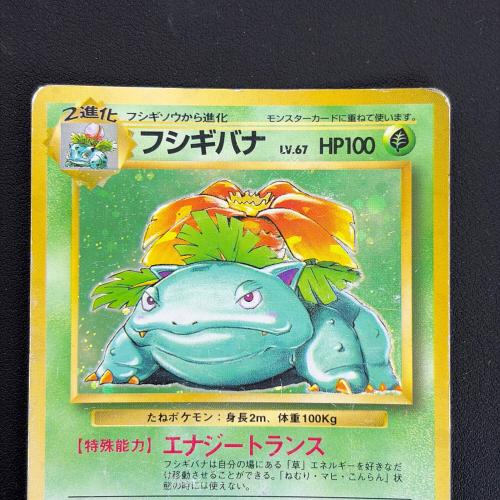 フシギバナ ポケモンカード 旧裏面｜トレファクONLINE