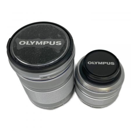 OLYMPUS (オリンパス) ミラーレス一眼カメラ E-PM2 1720万画素 -