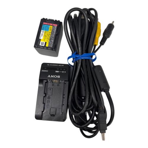 SONY (ソニー) ビデオカメラ HDR-XR520V -