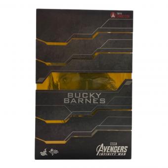 Hot toys (ホットトイズ) フィギュア 【未開封】ムービー・マスターピース 『アベンジャーズ/インフィニティ・ウォー』1/6スケールフィギュア バッキー・バーンズ(東京コミコン スペシャルパッケージ) (東京コミコン限定)