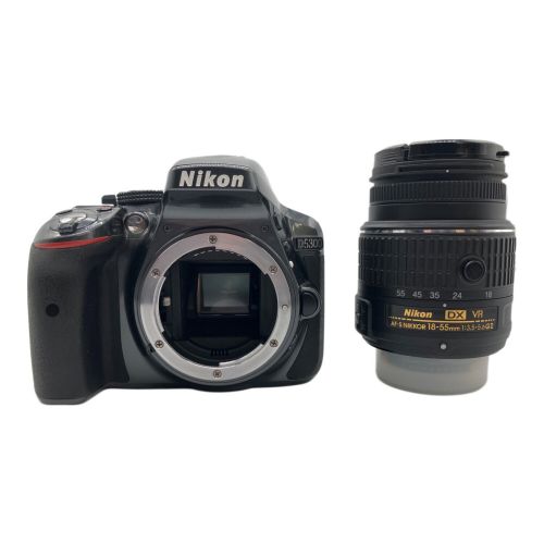 Nikon (ニコン) レンズキット D5300