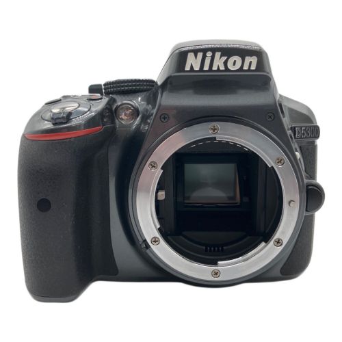 Nikon (ニコン) レンズキット D5300