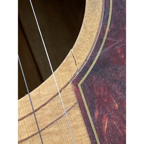 cole clark Fat Lady FL2A アコースティックギター