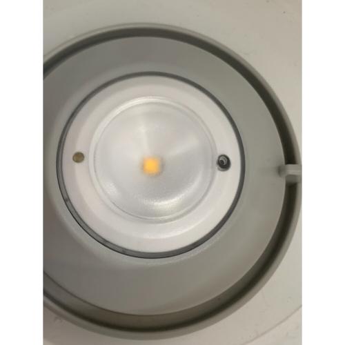 Snow peak (スノーピーク) LEDランタン ほおずき ゆき