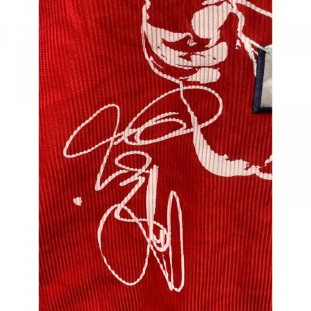 DESCENTE (デサント) 応援グッズ SIZE M レッド 前田智徳 引退記念ハイ