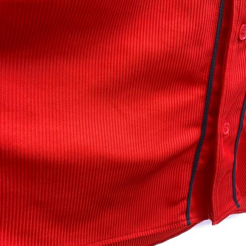 DESCENTE (デサント) 応援グッズ SIZE L レッド 広島東洋カープ ハイクオリティユニフォーム(ビジター) 背番号2番 田中広輔 DOR-H5009A