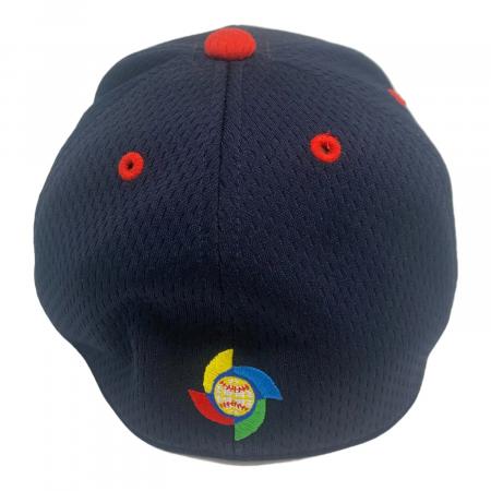 WBC 2009年 ウエア MizunoPro Japan刺繍入り限定品 WBC 2009年 ウエア