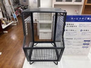 LIFE FURNITURE (ライフファニチャー) メッシュBOX ブラック