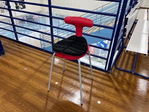 ayur medical  seat チェア レッド×グレー 6 マット付き