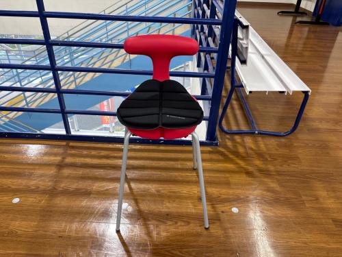 ayur medical  seat チェア レッド×グレー 6 マット付き