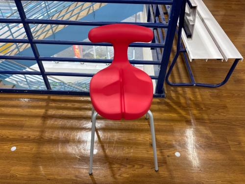 ayur medical  seat チェア レッド×グレー 6 マット付き