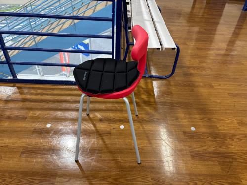 ayur medical  seat チェア レッド×グレー 6 マット付き