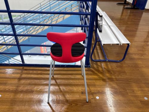 ayur medical  seat チェア レッド×グレー 6 マット付き