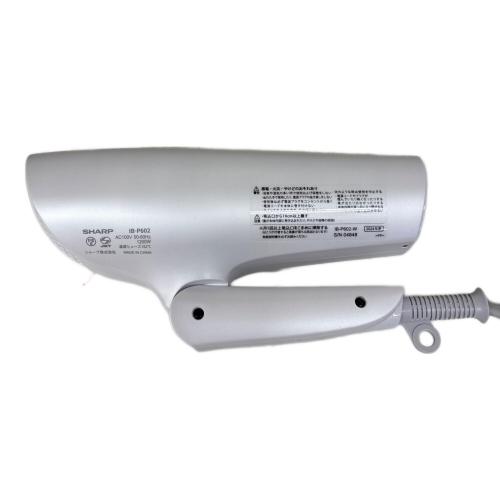 Panasonic (パナソニック) プラズマクラスタードライヤー IB-P602 2024年製