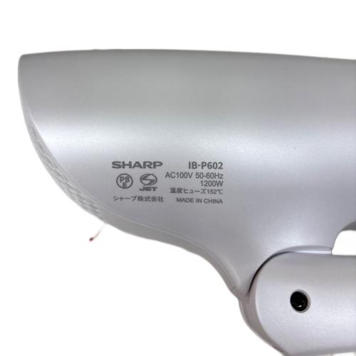 Panasonic (パナソニック) プラズマクラスタードライヤー IB-P602 2024年製