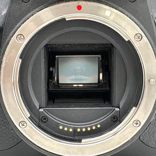 CANON (キヤノン) デジタル一眼レフカメラ EOS Kiss X7i