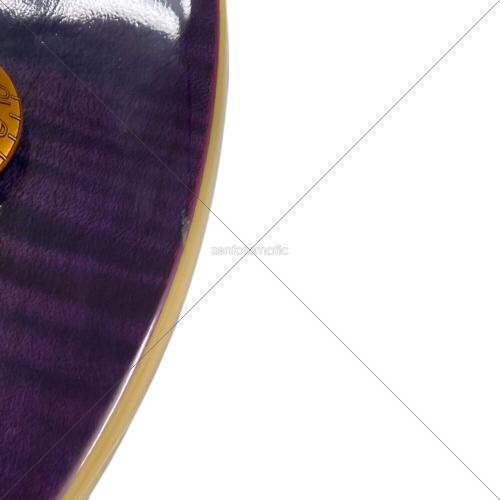 EPIPHONE (エピフォン) Les Paul Standard Plus Top TL エレキギター