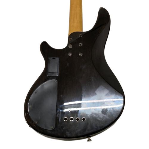 SCHECTER (シェクター) エレキベース DAMIEN ELITE-4