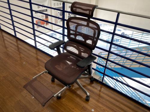 Ergohuman Pro (エルゴヒューマン・プロ) オフィスチェア 301 ブラウン