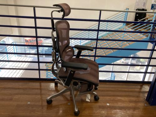 Ergohuman Pro (エルゴヒューマン・プロ) オフィスチェア 301 ブラウン