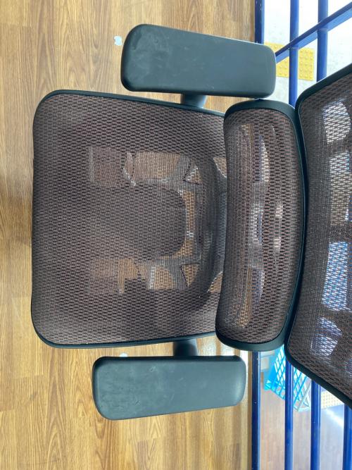 Ergohuman Pro (エルゴヒューマン・プロ) オフィスチェア 301 ブラウン