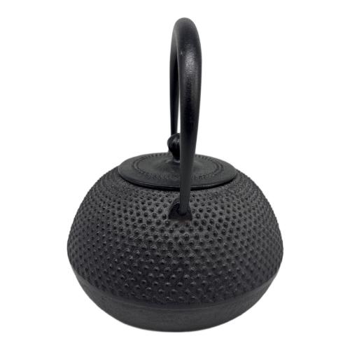 南部鉄器 (ナンブテッキ) 急須 HARIO