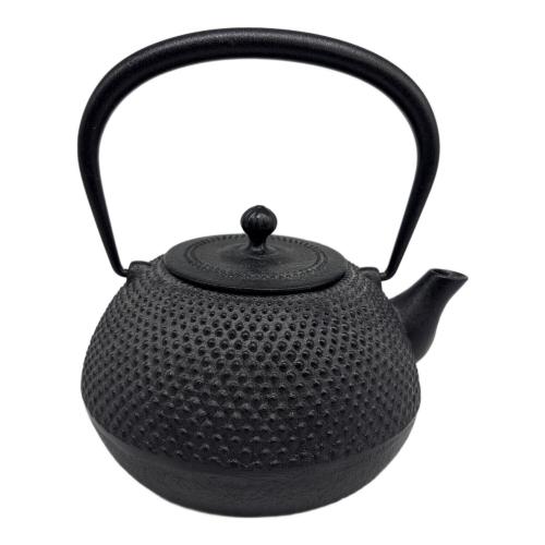 南部鉄器 (ナンブテッキ) 急須 HARIO