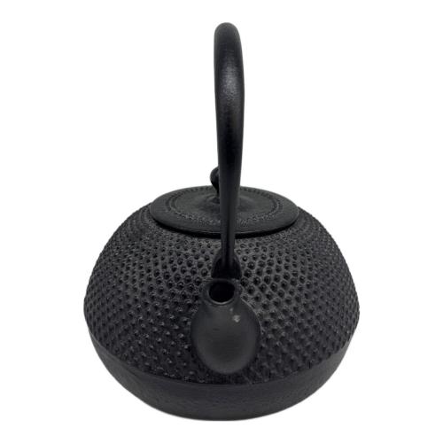 南部鉄器 (ナンブテッキ) 急須 HARIO