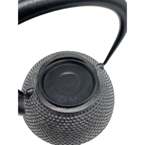 南部鉄器 (ナンブテッキ) 急須 HARIO