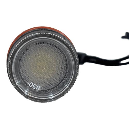 INON (イノン) ダイビングライト LE700-S