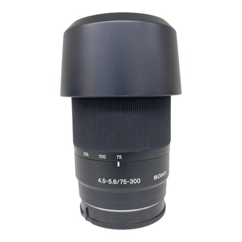 SONY (ソニー) デジタル一眼レフカメラ DSLR-A100 α100 レンズ：75-300・18-70