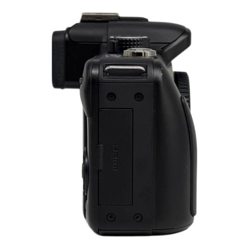 Panasonic (パナソニック) デジタル一眼レフカメラ LUMIX DMC-G3W-K ダブルズームレンズ 箱/説明書