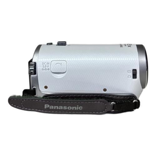 Panasonic (パナソニック) デジタルビデオカメラ HDC-TM45