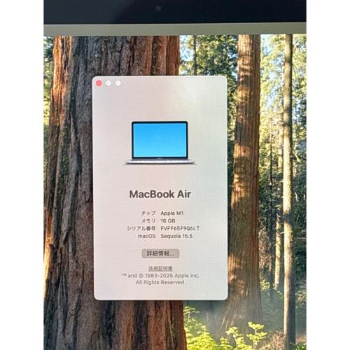 Apple (アップル) MacBook Air A2337 2020年モデル 充放電回数101回 最大用量95％