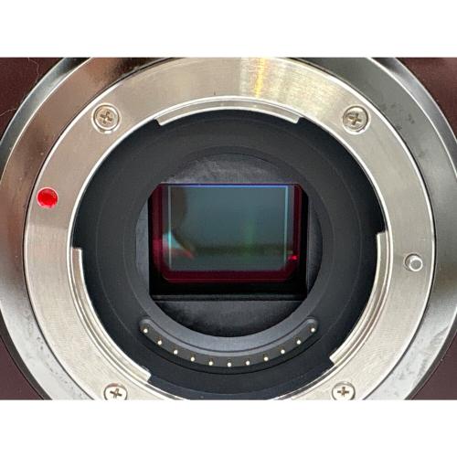 Panasonic (パナソニック) ミラーレス一眼カメラ DMC-G3 LUMIX ダブルズームキット