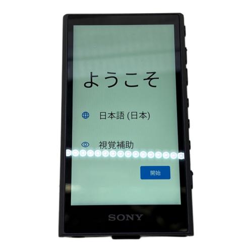 SONY (ソニー) WALKMAN NW-A307 64GB