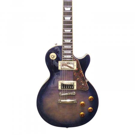 EPIPHONE (エピフォン) Les Paul Standard Pro エレキギター
