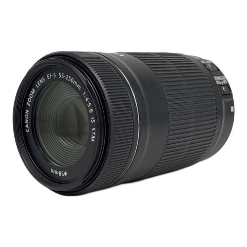 CANON (キヤノン) ズームレンズ EF-S55-250mm F4-5.6 IS STM