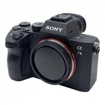 カテゴリ：カメラ・ビデオカメラ｜キーワード：SONY｜在庫：あり】商品
